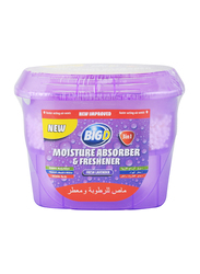 Big D Fresh Lavender Moisture Absorber and Freshener