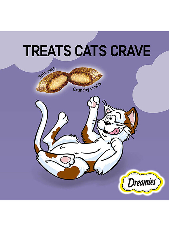 Dreamies Delectable Duck Dry Cat Food, 60 grams