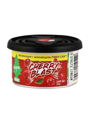 Little Trees Cherry Blast Air Fresheners Fiber Can, 30gm