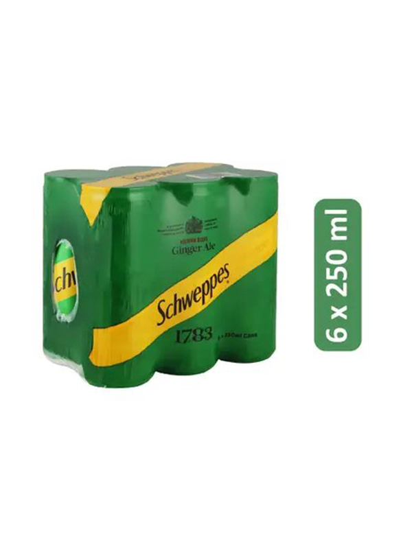 Schweppes Ginger Ale Soft Drink, 6 x 250 ml