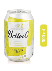 Britvic Ginger Ale Beverage - 300ml