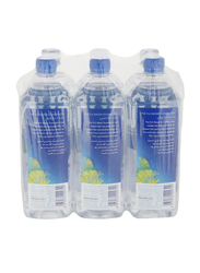 Fiji Natural Mineral Water, 6 x 1L