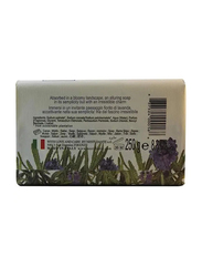 Nesti Dante D/Colli Fiorentini Ts.Lavender Soap, 250g