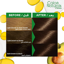 Garnier Color Naturals Hair Color, 110ml, 4 Brown