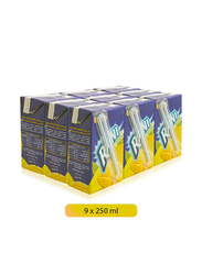 Rani Mango Fruit Drink - 9 x 250ml