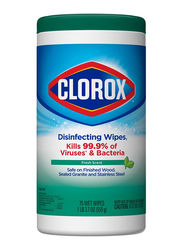 Clorox Fresh Scent Disinfecting Wipes, 75 Wipes