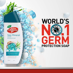 Lifebuoy Sea Mineral and Salt Antibacterial Hand Wash - 500 ml
