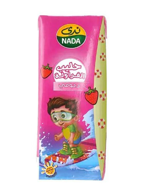 

Nada Dahoomy Strawberry Flavoured Milk, 200ml