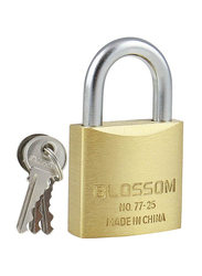 Blossom Brass Pad Lock, Gold/Silver