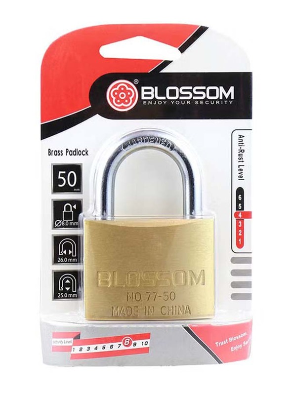 Blossom Brass Padlock, METALICO11914, 25mm, Gold/Silver