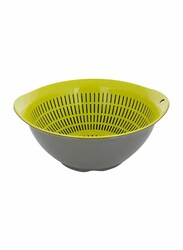 Pioneer 2-Piece Plastic Bowl, Large, Grey/Green