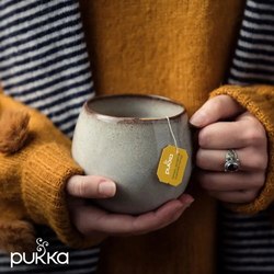 Pukka Organic Lemon, Ginger & Manuka Honey Herbal Tea - 40g