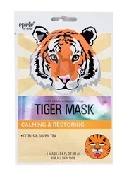 Epielle Tiger Character Mask, 1 Mask