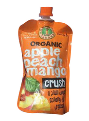 Organic Larder Apple peach Mango Crush, 100g
