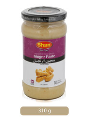 Shan Fresh Ginger Paste, 310g
