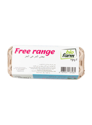 Bio Farm Free Range Medium Eggs, 10 Pieces