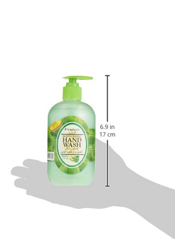Fruiser Apple Moisturising Hand Wash, 500ml