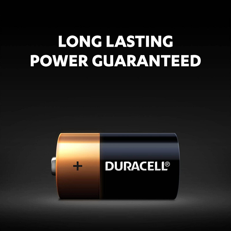 Duracell D2 Long Lasting Power Guaranteed 1.5V Alkaline Batteries, 2 Pieces, Multicolour