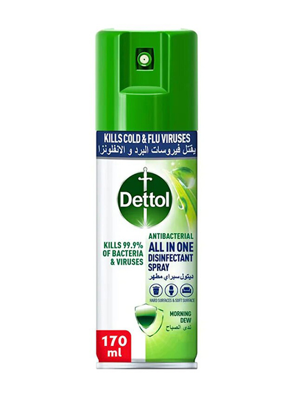 Dettol Spray Mini Morning Dew, 170ml