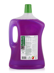 Dettol Lavender Antibacterial Power Floor Cleaner, 3 Liters