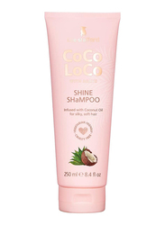 Lee Stafford Coco Loco with Agave Shine Shampoo, 250ml