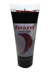 Pidilite Fevicryl Acrylic Colour, 200ml, Burnt Umber