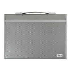 Foldermate 13-Pocket Expandable File with Buckle Closure, A4 Size, Silver