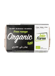 Bio Farm Organic Brown Medium Eggs, 15 Pieces