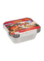 Platinum Aluminium Disposable Food Container with Lid, 10 Pieces, Silver