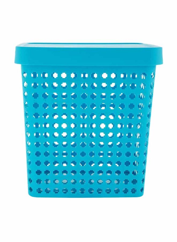 Pioneer Plastic basket with Cover, Large, Blue