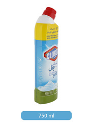 Clorox Mint Freshness Gel Multi Purpose Cleaner, 1 Piece, 750ml