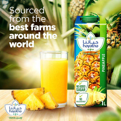 Hayatna Pineapple UHT Pure Juice, 1 Liter