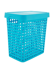 Pioneer Plastic Large Basket with Cover and Handle, Blue