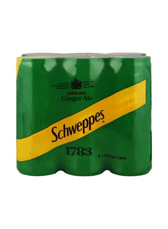 Schweppes Ginger Ale Soft Drink, 6 x 250 ml