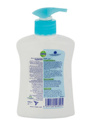 Dettol Cool Hand Wash, 12 x 200ml