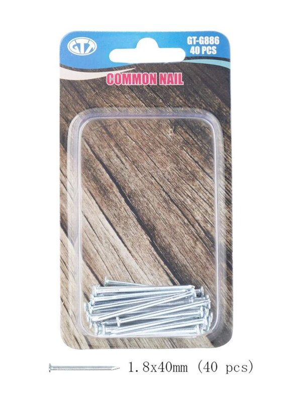 

GTT 40-Piece Common Nail, Silver