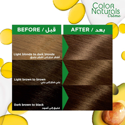 Garnier Colour Naturals 6 Dark Blonde Hair Colour