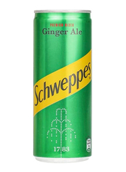 Schweppes Ginger Ale Soft Drink, 250 ml
