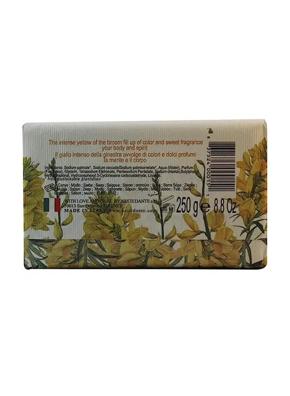 Nesti Dante Dei Colli Fiorentini Broom Soap, 250g