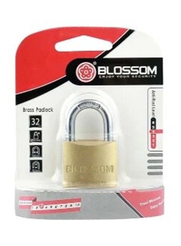 Blossom Brass Padlock, METALICO11912, Gold/Silver