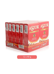 Astor Wonderful Sensation Chocolate Crumbly Roll - 12 x 40g