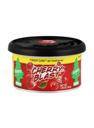 Little Trees Cherry Blast Air Fresheners Fiber Can, 30gm