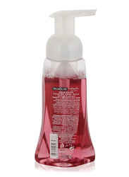 Palmolive Liquid Hand Soap Foam Pump Raspberry Liquid Hand Wash - 250ml