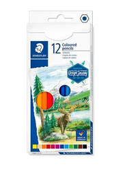 Staedtler ST-145-AM12 Colour Pencils Set, 12 Pieces