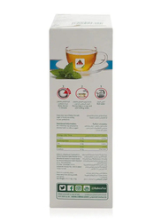 Rabea Organic Mint Green Tea Bags - 25 Pieces