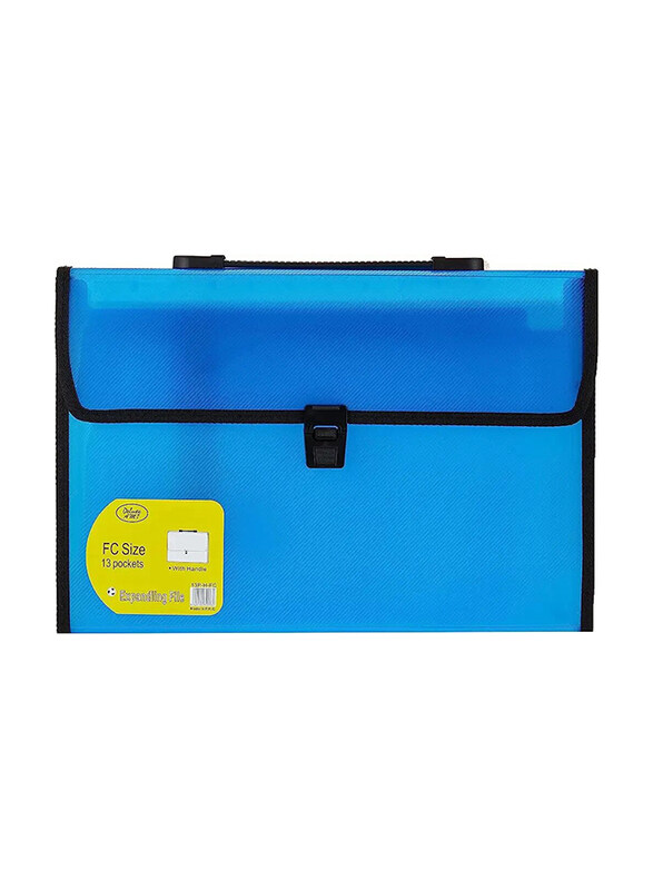

Arco Deluxe AMT Expanding File with Handle, A4, 13 Pockets
