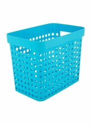 Pioneer Plastic Basket, Large, Blue