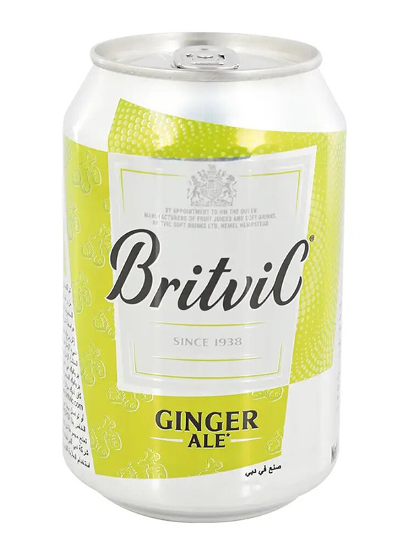 Britvic Ginger Ale Soda