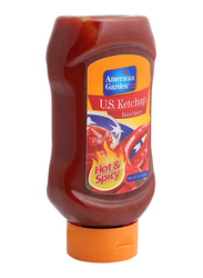 American Garden Ketchup Hot N Spicy, 20oz