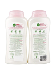 Dettol Skincare Antibacterial Bodywash, 2 x 250ml